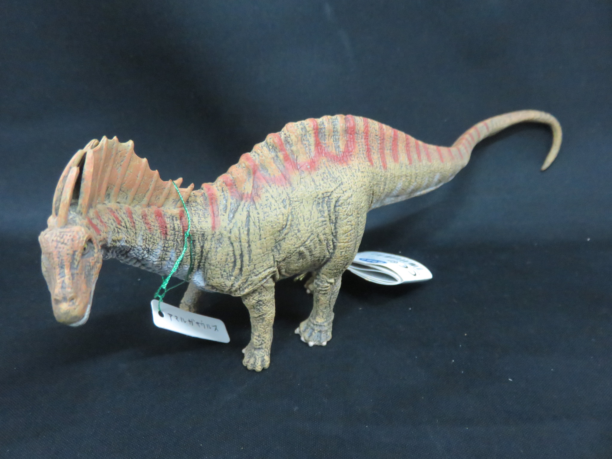 Papo 恐竜フィギュア アマルガサウルス 商品一覧 Kasekiya