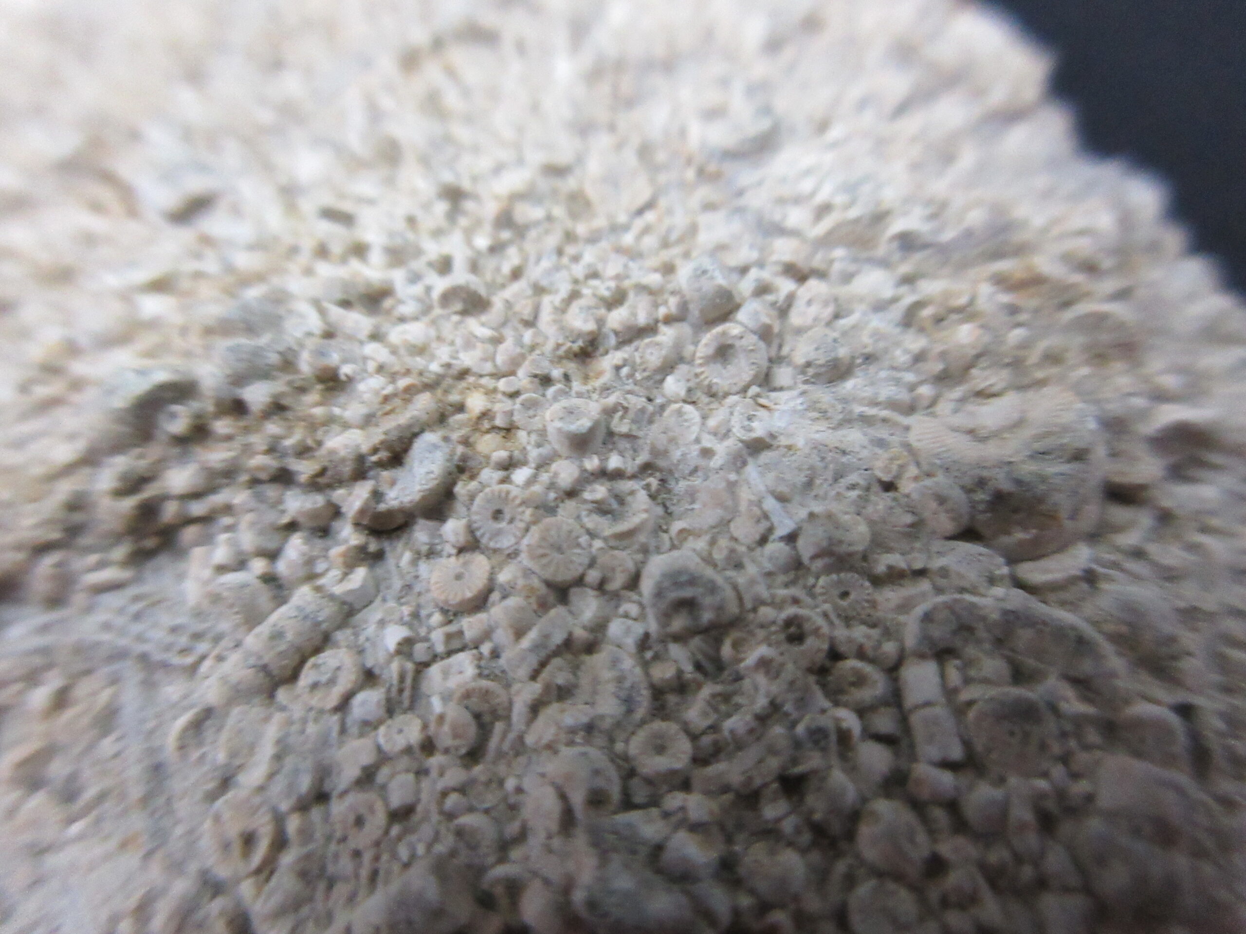 IMG_5496