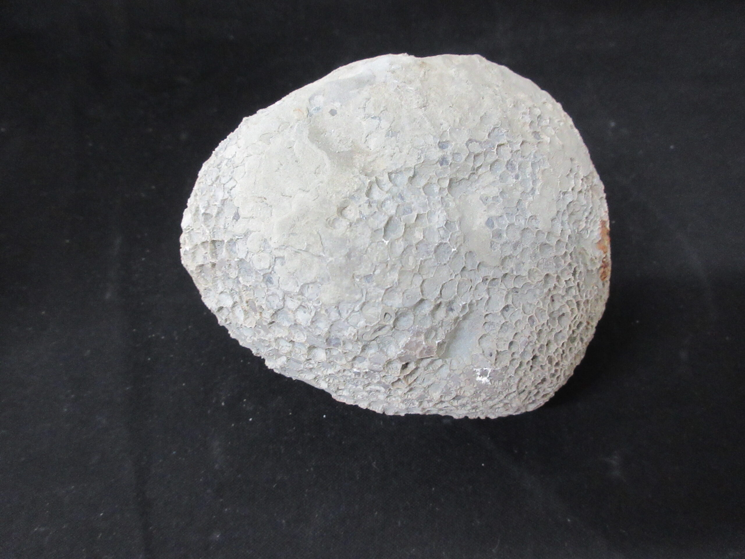 IMG_5738